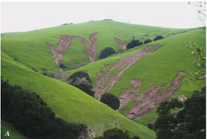 Photo of debris flows on the Hayward Fault