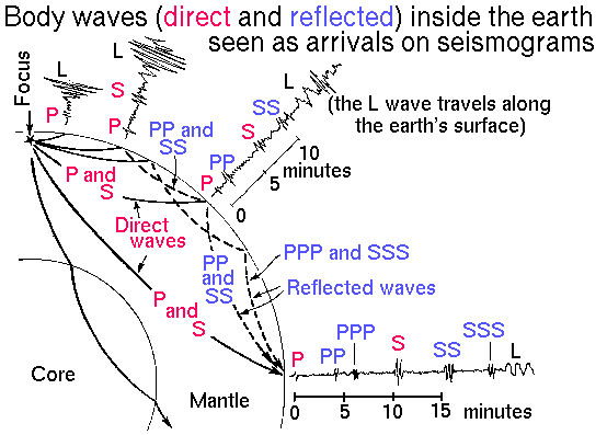 Body waves inside the earth seen as arrivals on seismograms.