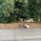 West - June 2, 2025 (9 of 69)