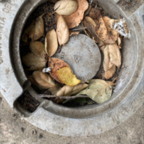 Benchmark - June 3, 2025 (5 of 69)