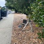 South - June 3, 2025 (3 of 69)