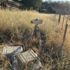 North - July 18, 2025 (6 of 50)