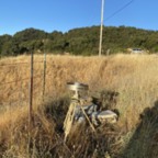 South - July 18, 2025 (8 of 50)