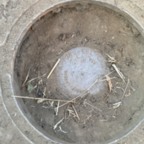 Benchmark - July 1, 2025 (5 of 46)