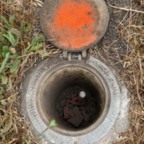  - July 17, 2025 (10 of 51)