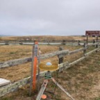 West - July 18, 2025 (4 of 51)