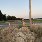 South - July 2, 2025 (3 of 52)