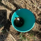 Benchmark - May 28, 2025 (5 of 59)