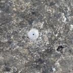 Benchmark - July 22, 2025 (10 of 57)