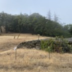 South - July 22, 2025 (8 of 57)