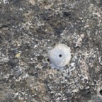 Benchmark - July 23, 2025 (5 of 57)