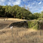 South - July 23, 2025 (3 of 57)