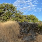 West - July 23, 2025 (4 of 57)