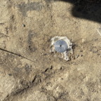 Benchmark - May 14, 2025 (10 of 44)