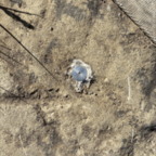 Benchmark - May 15, 2025 (5 of 44)