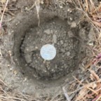  - June 9, 2025 (5 of 27)