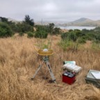 East - June 9, 2025 (2 of 27)