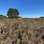 North - December 9, 2025 (1 of 32)