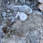 Benchmark - July 20, 2025 (10 of 34)