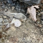 Benchmark - July 21, 2025 (5 of 34)