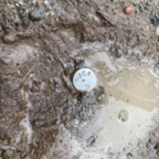 Benchmark - May 12, 2025 (5 of 30)