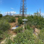 West - May 12, 2025 (4 of 30)