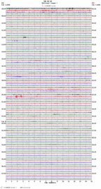 seismogram thumbnail