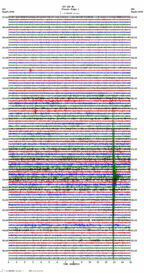 seismogram thumbnail