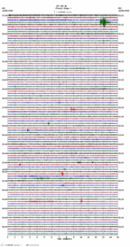 seismogram thumbnail