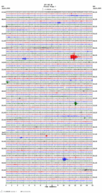 seismogram thumbnail