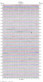 seismogram thumbnail