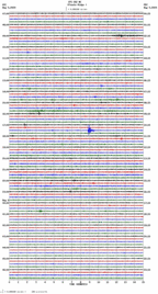 seismogram thumbnail