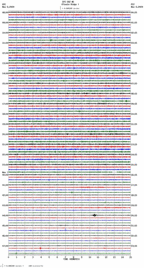 seismogram thumbnail