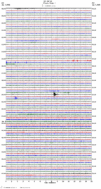 seismogram thumbnail