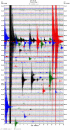 seismogram thumbnail