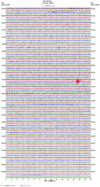 seismogram thumbnail