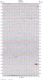 seismogram thumbnail