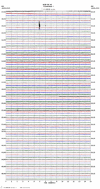 seismogram thumbnail