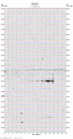 seismogram thumbnail