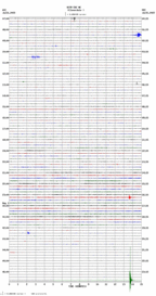 seismogram thumbnail