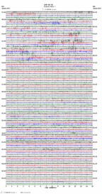 seismogram thumbnail