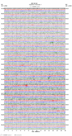 seismogram thumbnail