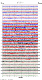 seismogram thumbnail