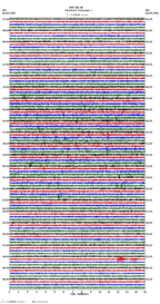 seismogram thumbnail