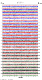 seismogram thumbnail