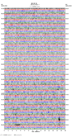seismogram thumbnail