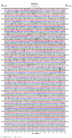 seismogram thumbnail