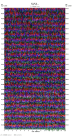 seismogram thumbnail