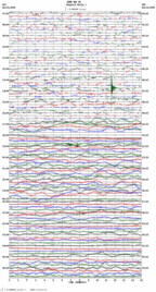 seismogram thumbnail