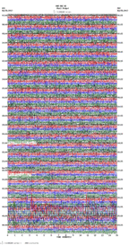 seismogram thumbnail